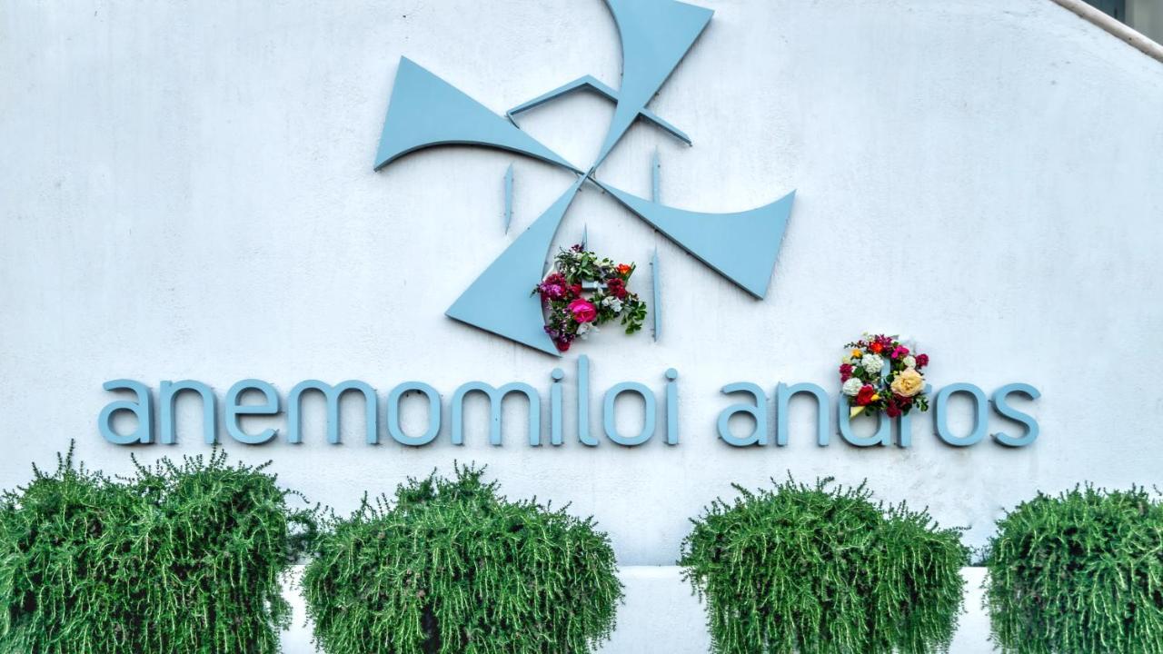 Anemomiloi Andros Hotel Eksteriør billede